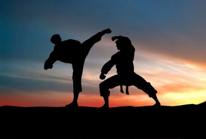 Stilurile de arte martiale aduc multiple beneficii corpului uman, eliberand organismul de stres, scazand anxietatea si ajutand la imbunatatirea stimei de sine.